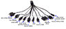 Kabel - ładowarka USB 10w1 do urządzeń mobilnych Kabel - ładowarka USB 10w1 do urządzeń mobilnych